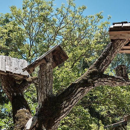 Les Maisons De Chante Oiseau Sigonce Экстерьер фото